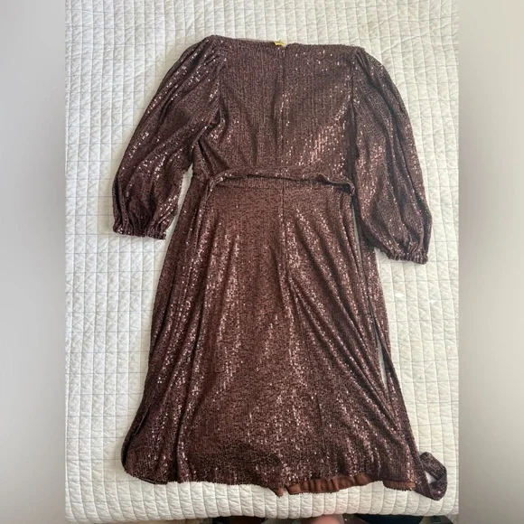 DKNY Shimmering Brown Sequin Dress - Picture 5 of 5